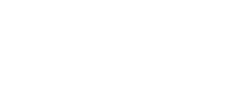 Vértice Digital - Início